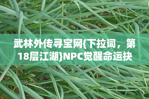 NPC觉醒命运抉择图片