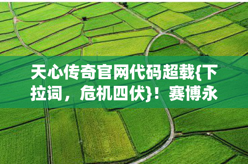 天心传奇官网代码超载图片