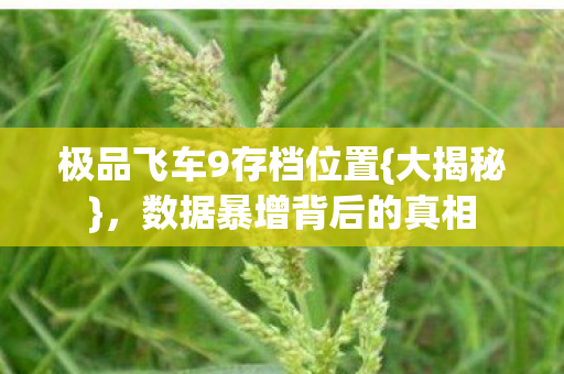 极品飞车9存档位置图片