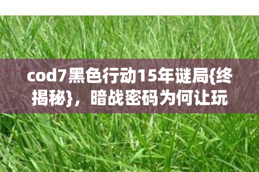 cod7黑色行动15年谜局图片