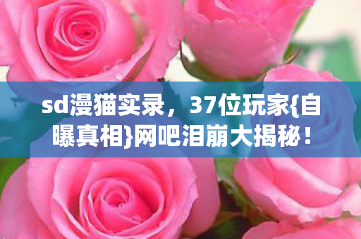 网吧泪崩大揭秘图片
