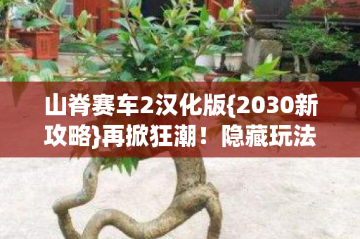 山脊赛车2汉化版图片