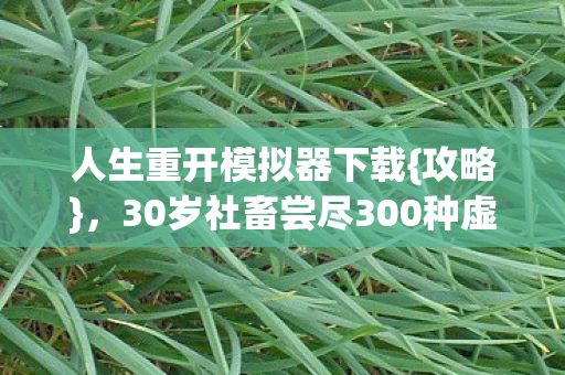 30岁社畜尝尽300种虚拟人生图片
