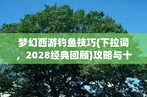 攻略与十年伏笔解析图片
