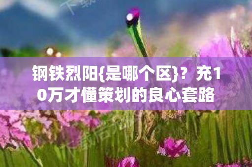 充10万才懂策划的良心套路图片