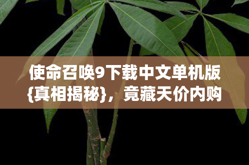 使命召唤9下载中文单机版{真相揭秘},竟藏天价内购? 使命召唤9下载中文单机版{真相揭秘},竟藏天价内购?