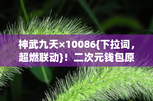 神武九天×10086{下拉词,超燃联动}!二次元钱包原地炸裂 神武九天×10086{下拉词,超燃联动}!二次元钱包原地炸裂