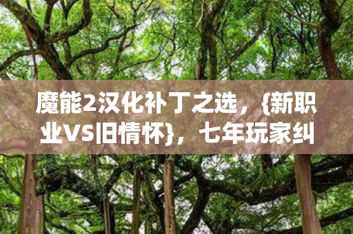 魔能2汉化补丁之选，{新职业VS旧情怀}，七年玩家纠结