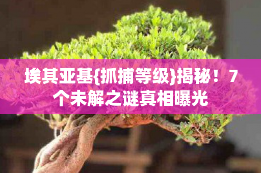 7个未解之谜真相曝光图片
