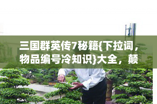 三国群英传7秘籍图片