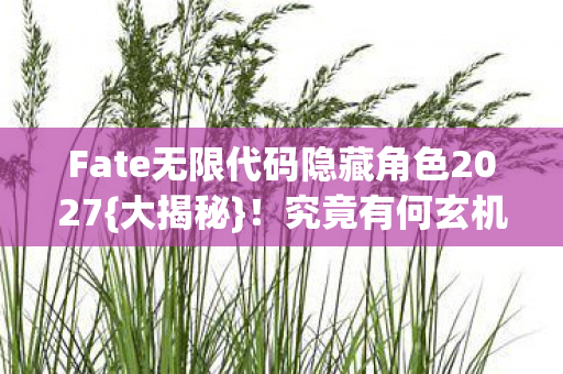 Fate无限代码隐藏角色2027{大揭秘}!究竟有何玄机? Fate无限代码隐藏角色2027{大揭秘}!究竟有何玄机?