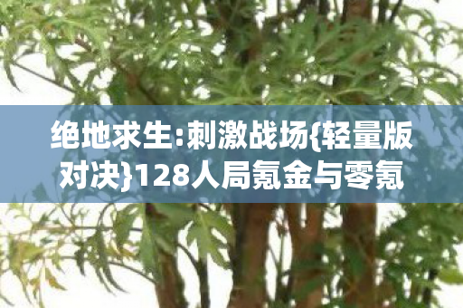 绝地求生:刺激战场{轻量版对决}128人局氪金与零氪谁破防? 绝地求生:刺激战场{轻量版对决}128人局氪金与零氪谁破防?