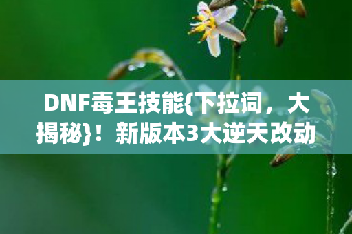DNF毒王技能{下拉词,大揭秘}!新版本3大逆天改动震撼来袭 DNF毒王技能{下拉词,大揭秘}!新版本3大逆天改动震撼来袭
