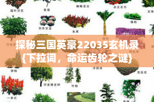 探秘三国英豪22035玄机录{下拉词，命运齿轮之谜}