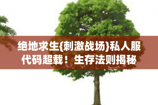 绝地求生{刺激战场}私人服代码超载！生存法则揭秘