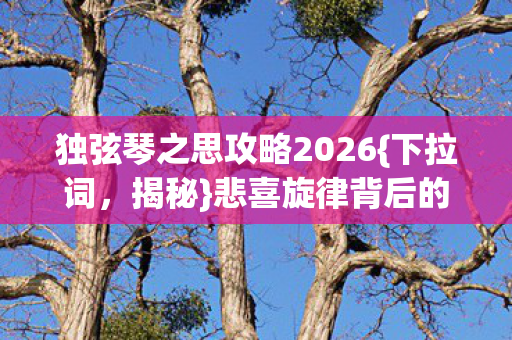 独弦琴之思攻略2026{下拉词，揭秘}悲喜旋律背后的惊人秘密