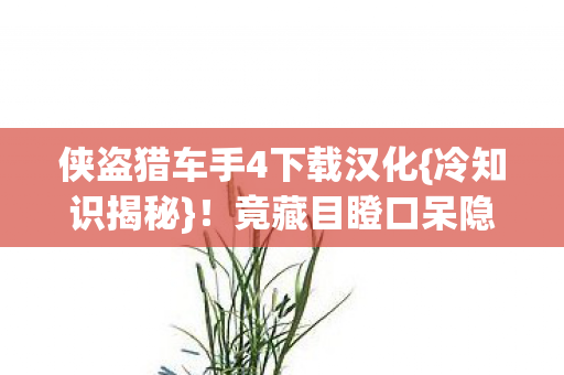 侠盗猎车手4下载汉化{冷知识揭秘}!竟藏目瞪口呆隐形炸弹 侠盗猎车手4下载汉化{冷知识揭秘}!竟藏目瞪口呆隐形炸弹