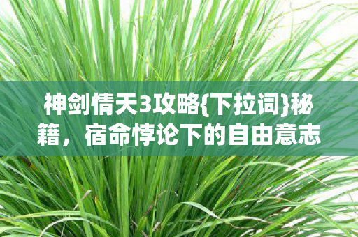 宿命悖论下的自由意志探索图片