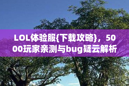 5000玩家亲测与bug疑云解析图片