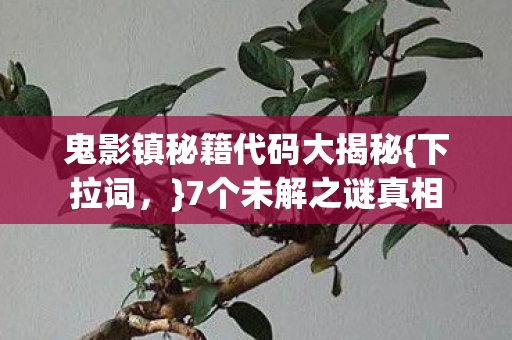 鬼影镇秘籍代码大揭秘图片