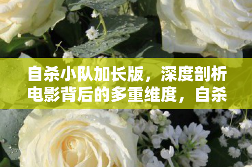 自杀小队加长版，深度剖析电影背后的多重维度，自杀小队加长版，深度剖析电影背后的多重维度