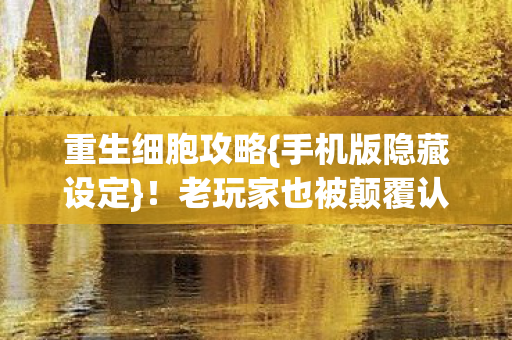 老玩家也被颠覆认知图片