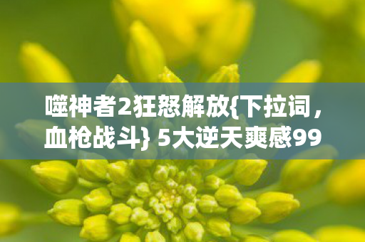 噬神者2狂怒解放图片