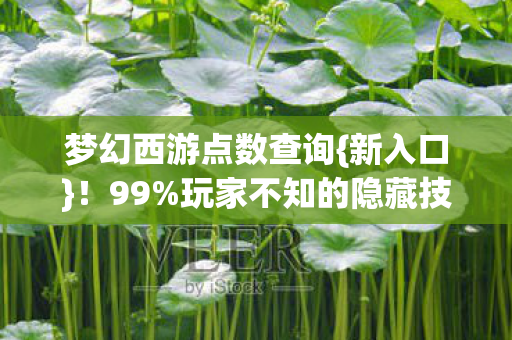 玩家不知的隐藏技巧图片