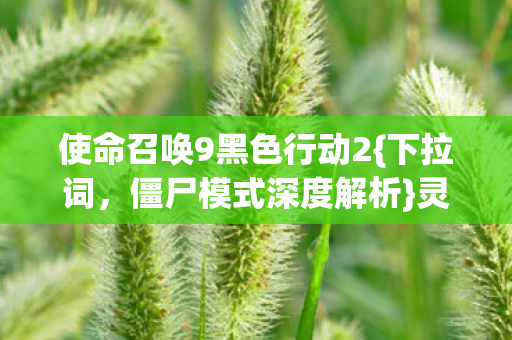 使命召唤9黑色行动2图片