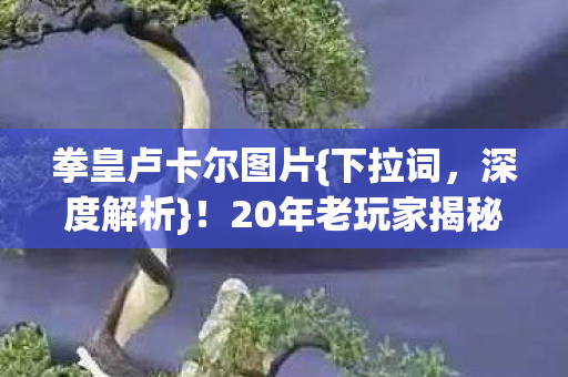 拳皇卢卡尔图片{下拉词，深度解析}！20年老玩家揭秘其格斗噩梦地位