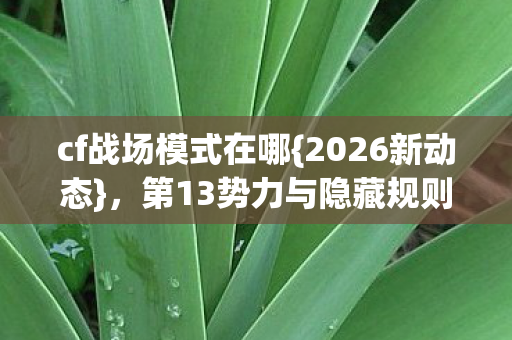 cf战场模式在哪{2026新动态}，第13势力与隐藏规则揭秘！