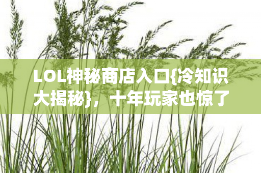 LOL神秘商店入口图片