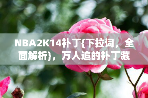 万人追的补丁藏何破防真相图片