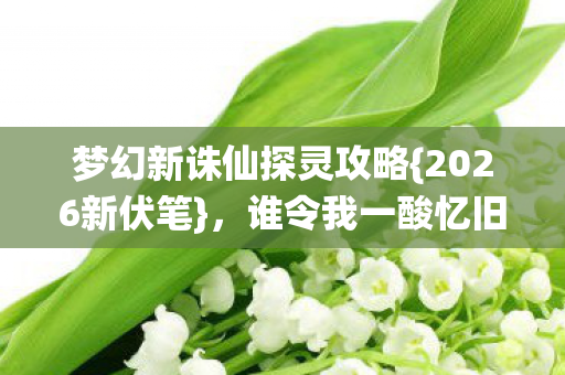 梦幻新诛仙探灵攻略图片