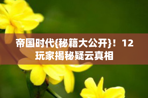帝国时代{秘籍大公开}!12玩家揭秘疑云真相 帝国时代{秘籍大公开}!12玩家揭秘疑云真相