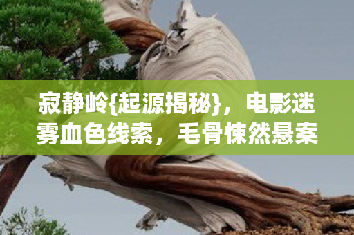 寂静岭{起源揭秘},电影迷雾血色线索,毛骨悚然悬案 寂静岭{起源揭秘},电影迷雾血色线索,毛骨悚然悬案