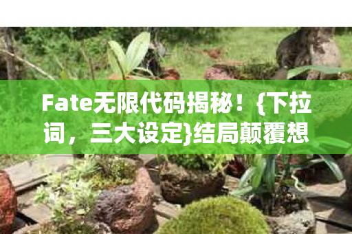 Fate无限代码揭秘！{下拉词，三大设定}结局颠覆想象