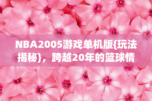 NBA2005游戏单机版{玩法揭秘},跨越20年的篮球情怀 NBA2005游戏单机版{玩法揭秘},跨越20年的篮球情怀