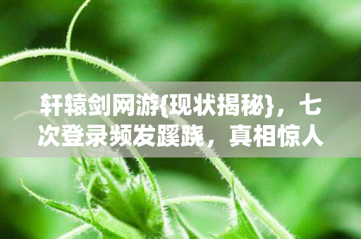 七次登录频发蹊跷图片
