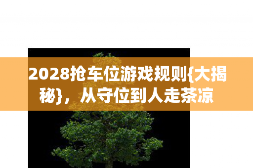2028抢车位游戏规则图片