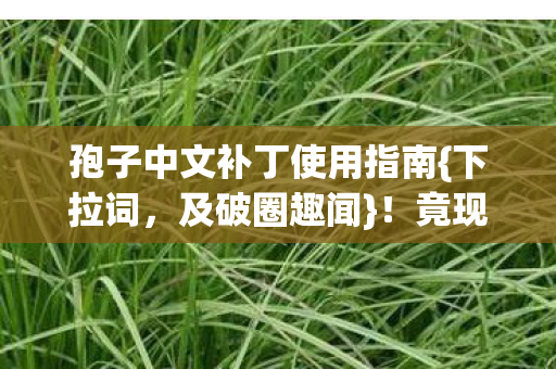 孢子中文补丁使用指南图片