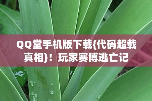 QQ堂手机版下载图片