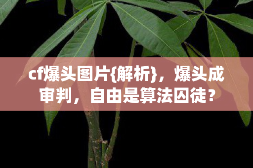 cf爆头图片{解析},爆头成审判,自由是算法囚徒? cf爆头图片{解析},爆头成审判,自由是算法囚徒?