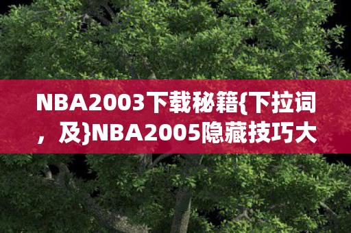 NBA2003下载秘籍{下拉词,及}NBA2005隐藏技巧大揭秘 NBA2003下载秘籍{下拉词,及}NBA2005隐藏技巧大揭秘