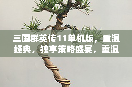 三国群英传11单机版图片