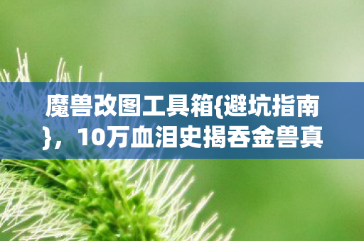 魔兽改图工具箱{避坑指南}，10万血泪史揭吞金兽真相