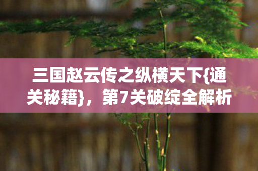 三国赵云传之纵横天下图片