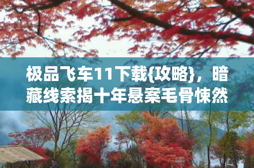 暗藏线索揭十年悬案毛骨悚然真相图片