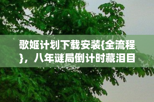 八年谜局倒计时藏泪目彩蛋图片