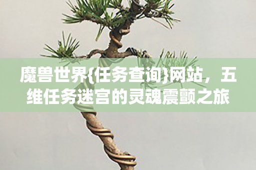 五维任务迷宫的灵魂震颤之旅图片